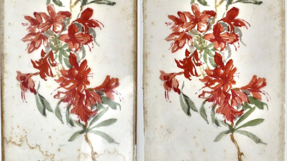 Aquarell Wasserschaden. Wasserflecken und Ränder entfernt 